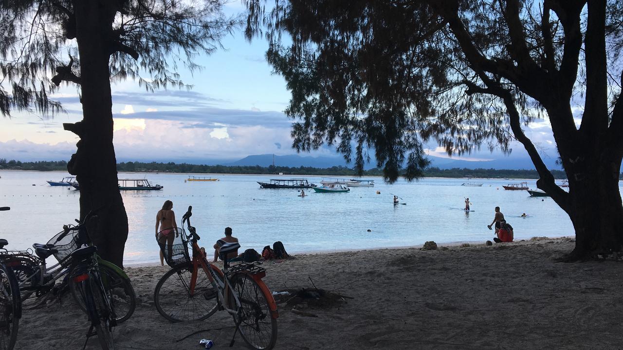 Gili Turtle
