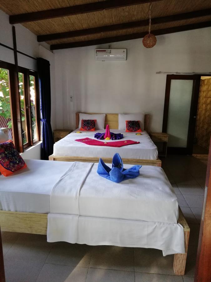 Gili Turtle