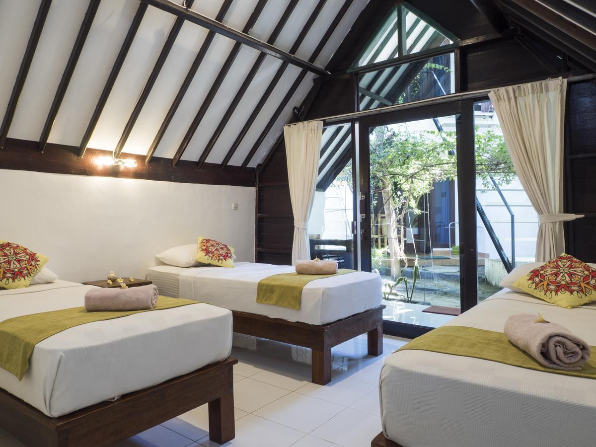 Gili Turtle